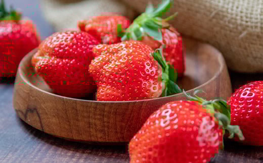 èºå€§éå± ãããã²ã å³éžãã¡ã250gÃ2ããã¯ïŒåèš500gïŒ å®®åŽç西éœåžïŒ1-294ïŒãå
è¡äºçŽãâ