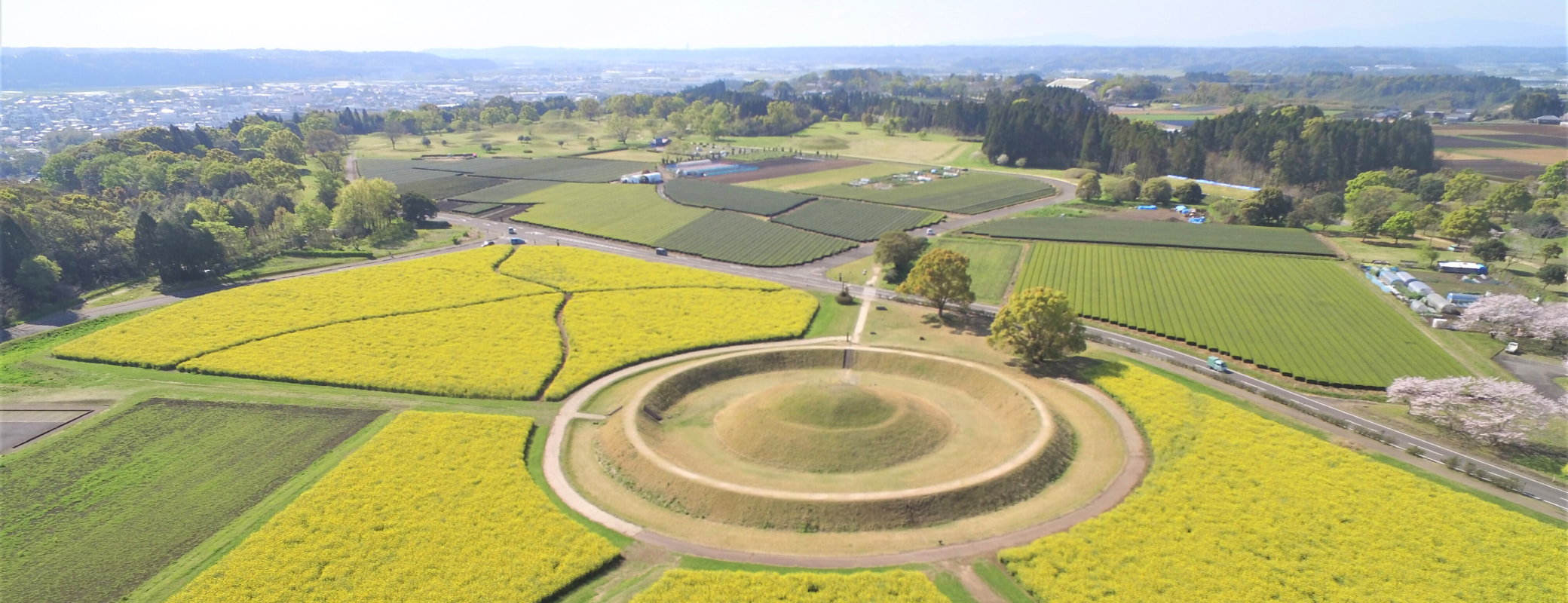 螳ョ蟠守恁隘ソ驛ス蟶