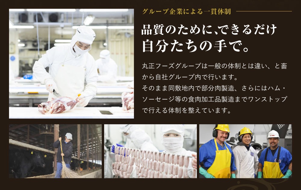 【720牧場グループ牛】自社牧場肉と国産野菜のビーフシチュー 170g×6パック 「720牧場グループ牛」100％使用 ビーフシチュー デミグラスソース 牛肉 惣菜 レトルト おかず 保存食 レンジ 簡単調理 おうちごはん 宮崎県 えびの市 送料無料