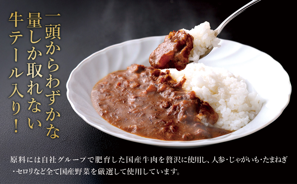 牛テール カレー セット 冷凍(200g × 10パック 計 2,000g) ビーフカレー 肉 牛 ギフト 常備食 保存食 非常食 冷凍 簡易包装 送料無料