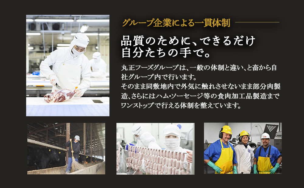 えびの高原 オールポークウインナー155g×6パック 合計 930g 豚肉 牛肉 人気 おかず お弁当 おつまみ 総菜 冷蔵 加工品 焼肉 ギフト 九州 宮崎県 えびの市 送料無料