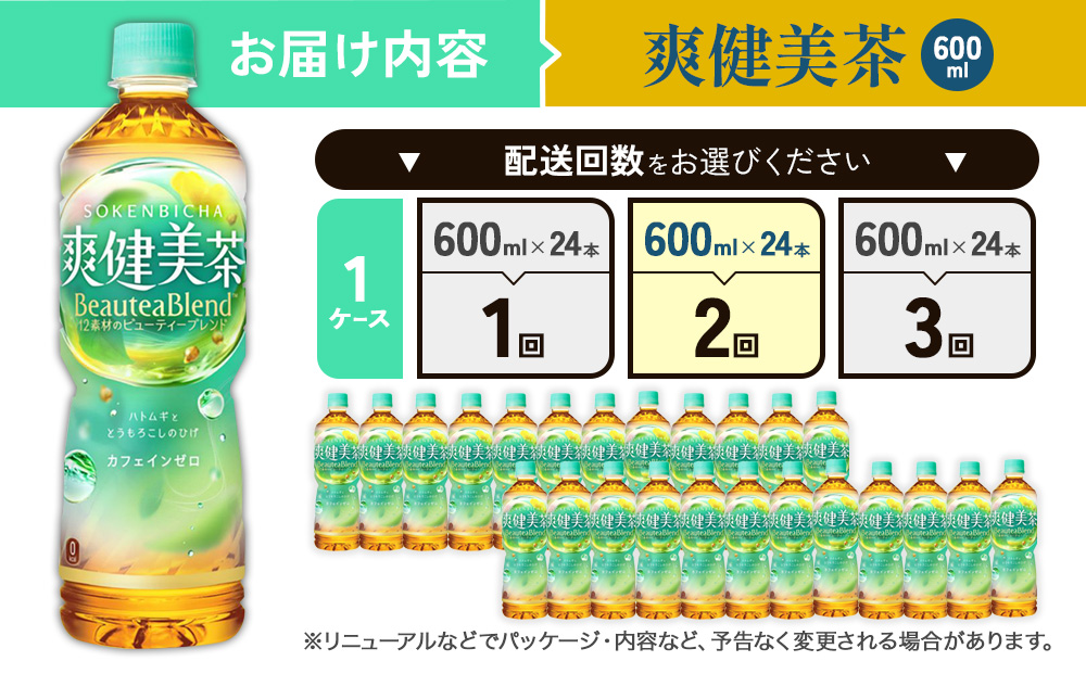 （2回定期便）爽健美茶 600ml PET【コカ・コーラ】ペットボトル 1ケース(24本) 定期便 2回(48本) セット お茶 カフェインゼロ ノンカフェイン ハトムギ ブレンド茶 宮崎県 えびの市 送料無料