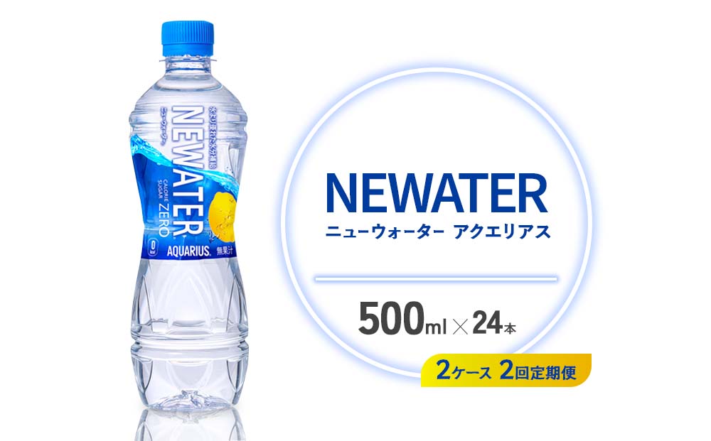 【2回定期便】アクエリアス ニューウォーター 500ml PET【コカ・コーラ】ペットボトル 2ケース(48本) 定期便 2回(96本) セット スポーツドリンク スポドリ カロリーゼロ 熱中症対策 水分補給 清涼飲料水 宮崎県 えびの市 送料無料
