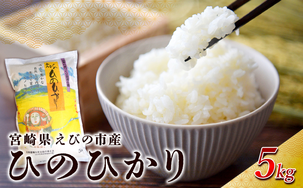 【令和7年産】米 えびの産 ひのひかり 5kg 米 お米 精米 白米 ご飯 おこめ ヒノヒカリ 国産 宮崎県産 特選米 九州産 送料無料 コメ おにぎり つや 艶 ツヤ たまごかけごはん 卵かけご飯 卵かけごはん TKG 冷めても美味しい