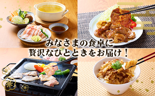【3回定期便】豚肉 宮崎県産 いもこ豚 焼肉 セット 3kg × 3回 総合計 9kg 切り落とし 小分け 豚 豚バラ バラ ロース 肩ロース スライス 小間切れ 真空パック 焼肉用 焼き肉 BBQ 鉄板焼き 豚丼 国産 九州産 宮崎 ブランド 冷凍 送料無料