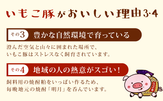 豚肉 宮崎県産 いもこ豚 しゃぶしゃぶ セット 2.1kg  しゃぶしゃぶ用 切り落とし 小分け 豚 豚バラ ロース 肩ロース スライス 小間切れ 鍋 鍋用 国産 九州産 宮崎 ブランド 冷凍 送料無料