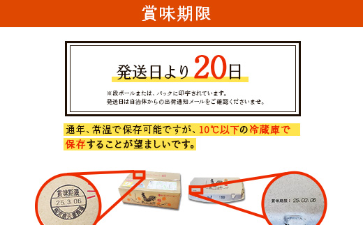 【3回定期便】卵【わけあり】霧島山麓育ち こだわり卵 康卵 MSサイズ 計 50個（45個 + 割れ保証 5個）たまご 玉子 タマゴ 卵焼き 玉子焼き たまご焼き 生卵 鶏卵 平飼い 放し飼い たまごかけごはん 国産 九州産 宮崎県産 送料無料