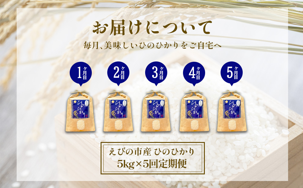【令和7年産】【5回定期便】米 ひのひかり 5kg 合計 25kg 九州 霧島 えびの産 ヒノヒカリ 発送直前に精米 農家 直送 お米 おこめ こめ コメ 白米 ふるさと納税 5キロ 九州産 宮崎県産 宮崎県 送料無料