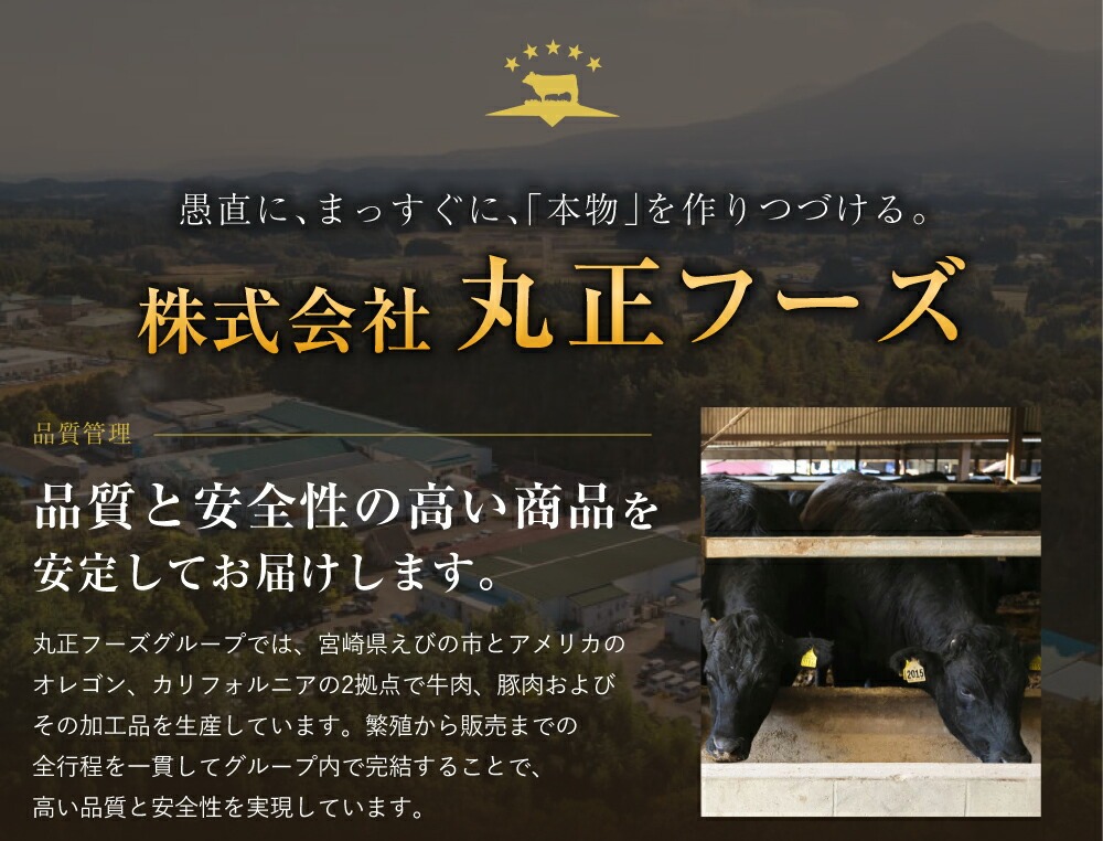 宮崎県産 黒牛 焼肉 赤身 牛肉 焼肉セット ロース 肩ロース モモ ミスジ 3点盛り 840g(280g × 3パック)焼肉用 肉 お肉 牛 国産牛 食べ比べ セット 小分け 真空パック コスパ 冷凍 贈答 贈答用 ギフト BBQ アウトドア キャンプ 人気 国産 国産牛 九州 宮崎県 えびの市 送料無料