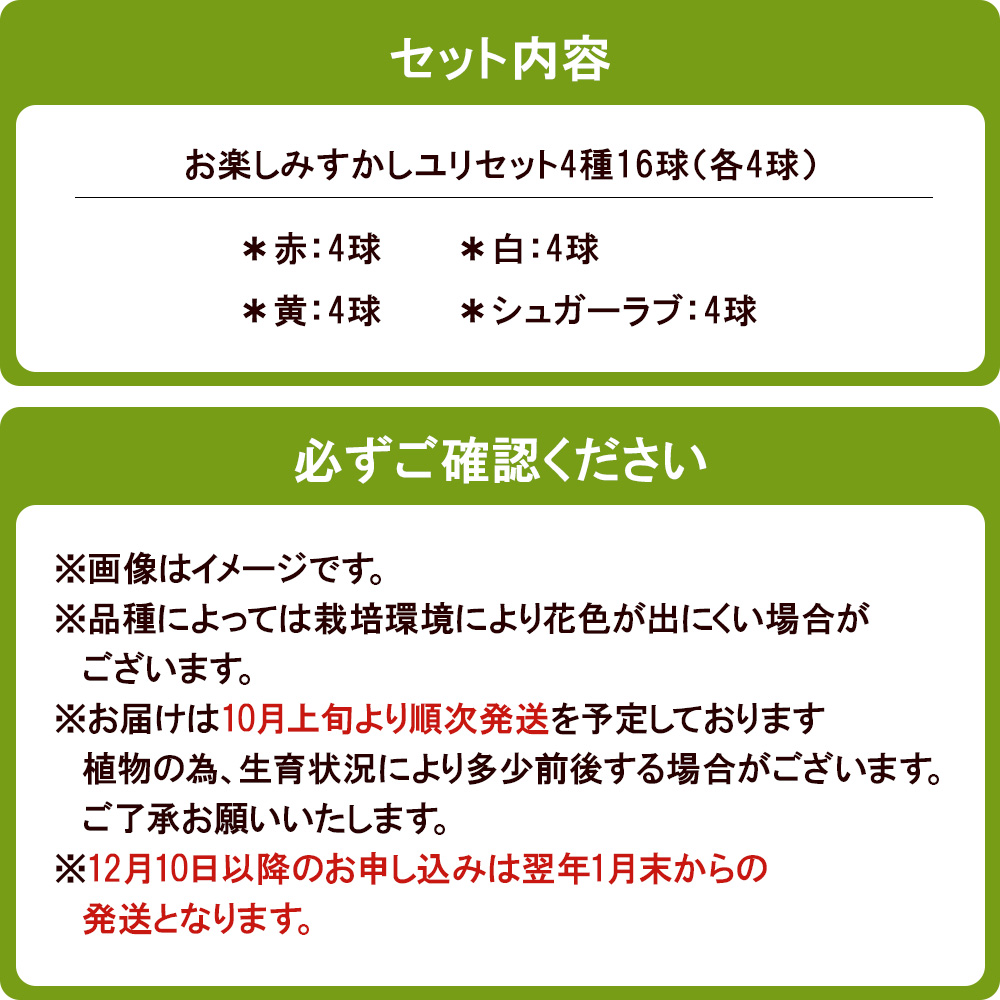 ユリ球根　お楽しみ すかし ユリ セット 4種 16球 送料無料 赤 白 黄 シュガーラブ