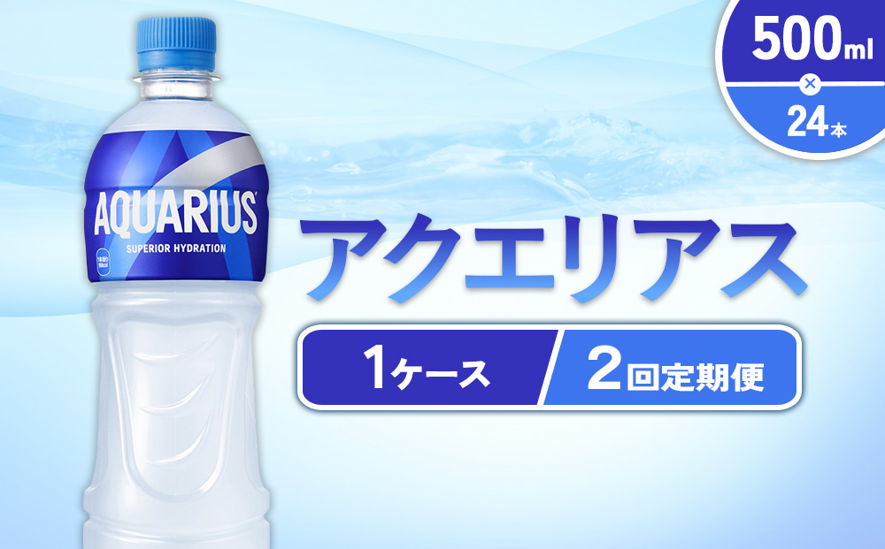【2回定期便】アクエリアス 500ml PET × 24本 1ケース 毎月 2回 AQUARIUS スポーツドリンク スポーツ飲料 ペットボトル 熱中症対策 水分補給 コカ・コーラ Coca-Cola 運動 送料無料