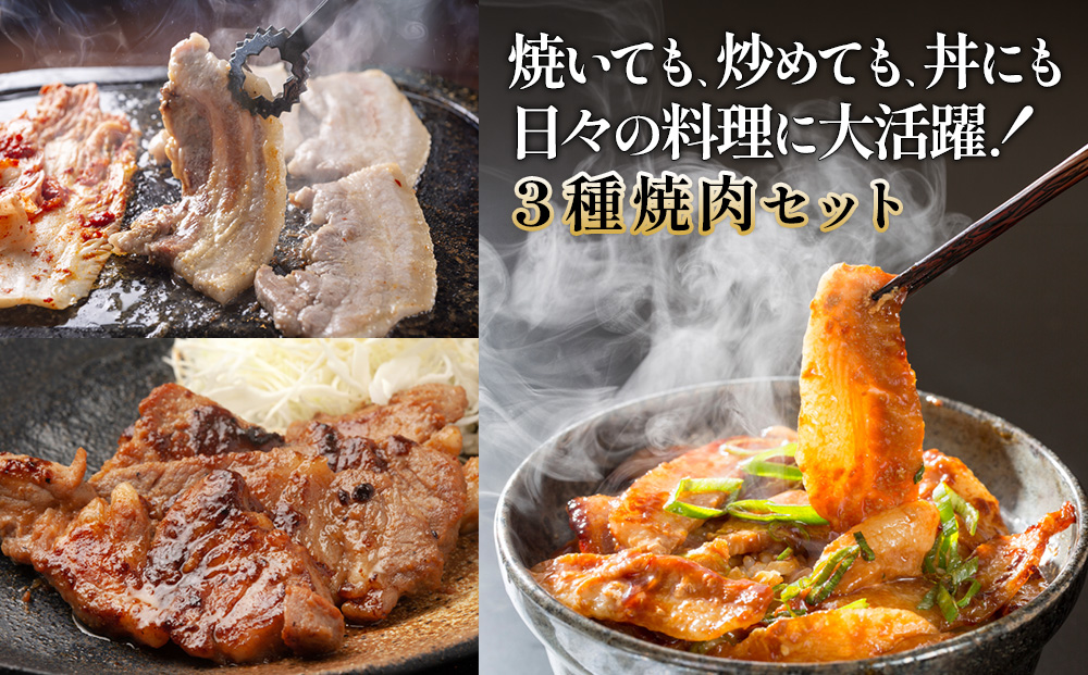 宮崎県産 豚肉 焼肉セット 3.6kg (1.2kg × 3回 定期便) 肩ロース・バラ・豚トロ 各400g 真空パック 200g×6袋 冷凍 国産