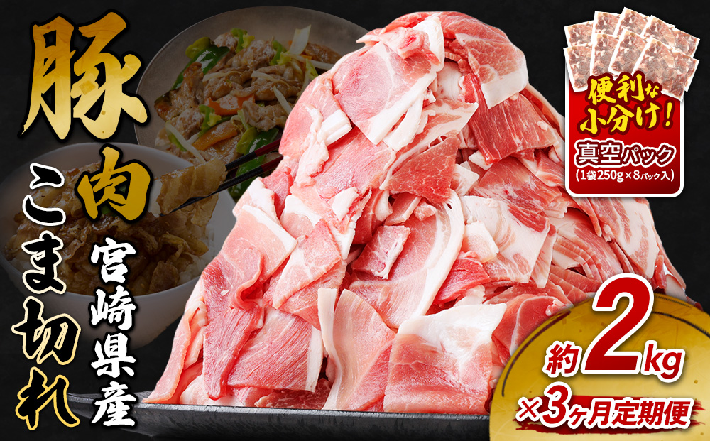 定期便 3回お届け 宮崎県産 いもこ豚 小間切れ 2kg (250g×8パック) 真空パック 小分け 豚肉 えびの市