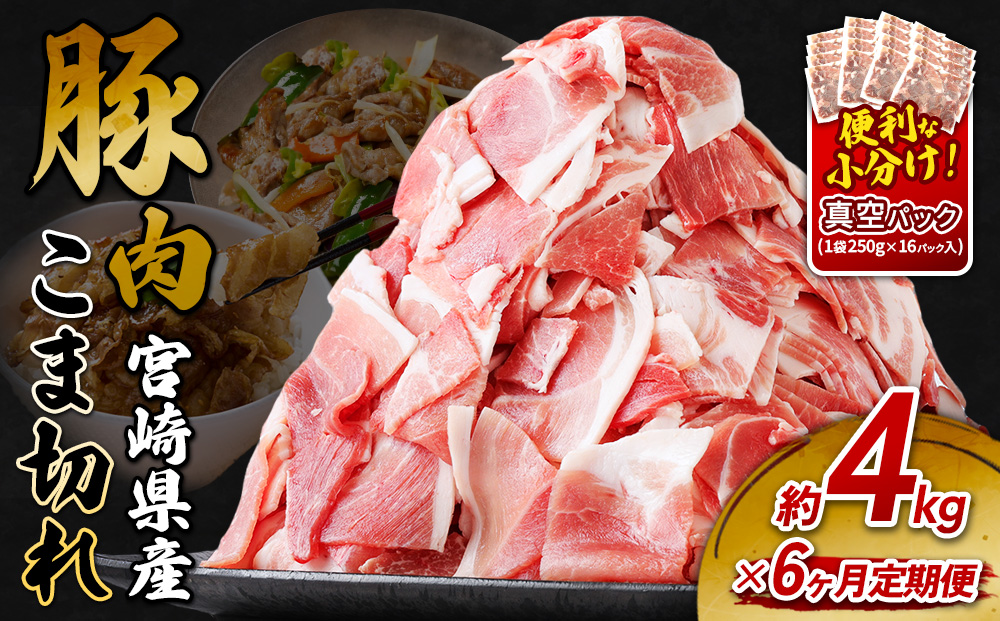 定期便 6回お届け 宮崎県産 いもこ豚 小間切れ 4kg (250g×16パック) 真空パック 小分け 豚肉 えびの市