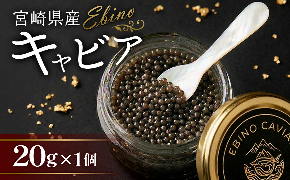 【ふるさと納税】キャビア 国産 20g 冷蔵 宮崎県 えびの市産