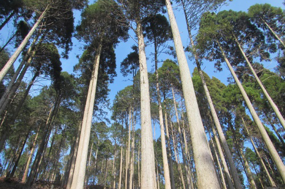 自然環境の保全などに関する事業