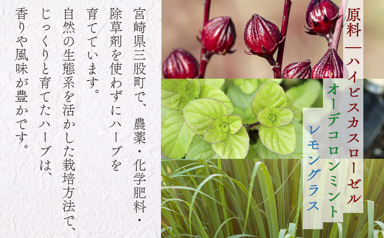 ＜ハーブティー ティーバッグ 1袋3個入（レモグラミント）＞国産 ドライ 乾燥させたハーブ 爽やか ほっとひと息 ハーブティードリンク リラックス 休憩 ノンカフェイン 持ち運びに便利 ぷちギフト 後片付けが簡単 宮崎県 三股町【MI712-bi】【美香園】