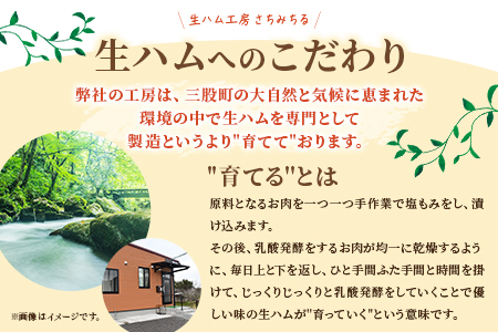 ＜【訳あり】国産豚モモ生ハム切り落とし 900g ＞選べる 内容量 パック 訳アリ 国産 豚肉 豚モモ 豚バラ 肩肉 生ハム スライス 切り落とし パンチェッタ 短冊 コッパスライス サラダ BBQ おつまみ お祝い 誕生日 結婚記念日 贈り物【MI574-pl】【株式会社プラス】