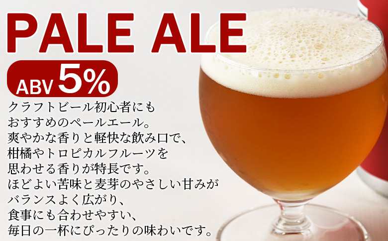 ＜三股町の水で造るクラフトビール飲み比べ 12本セット＞詰め合わせセット 3種 ペールエール グリセット ダークラガー 5% お酒 アルコール ギフト 贈り物 プレゼント 宅飲み 家飲み 晩酌 お取り寄せ 地ビール【MI746-wb】【ワイルドビアードブルーイング合同会社】
