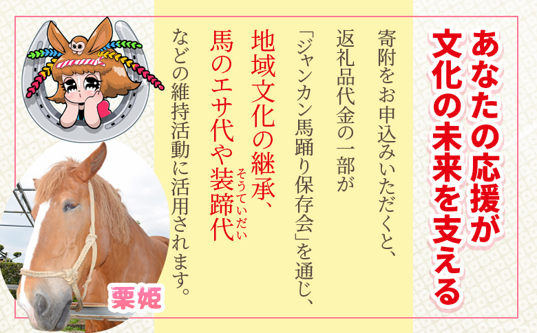 ＜地域の祭りを彩る ジャンカン馬 栗姫を応援！オリジナルキャラクタージャンカちゃんグッズ付（子供サイズTシャツ1枚）＞寄附 寄付 お礼の品 返礼品あり 地域貢献 伝統文化 文化継承 ふるさと 応援プロジェクト まつり継続支援 JANKAN NEXT100 保護 保全活動 動物愛護 動物 ボランティア 愛護活動【MI646-ar】【アラテイク】