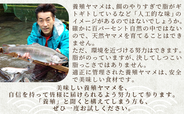 ＜新鮮冷凍ヤマメ 50尾＞ 国産 九州産 尺ヤマメ 山女魚 水産物 魚 魚介 川魚 養殖魚 塩焼き バーベキュー BBQ 【MI773-sk】【有限会社しゃくなげの森】