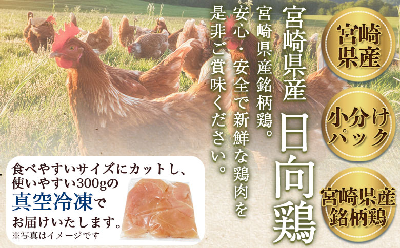 ＜宮崎県産日向鶏 もも肉 約3kg ＞国産 鶏 肉 精肉 モモ もも肉 使いやすい パック 真空冷凍 切り身 選べる数量 お弁当 惣菜 からあげ 照り焼き 数量限定 BBQ バーベキュー 鶏ムネ 鶏むね 鳥モモ ささみ ササミ 小分け 【MI451-tr】【TRINITY】