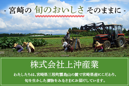 ＜おかか生姜 1袋120g(4袋計480g)＞国産野菜 宮崎県産 しょうが つけもの ご飯 朝ごはんのお供 おつまみ 和食 付け合わせ 万能おかず生姜 漬物グランプリ金賞 宮崎フードアワード優秀賞受賞【MI720-ko】【株式会社 上沖産業】