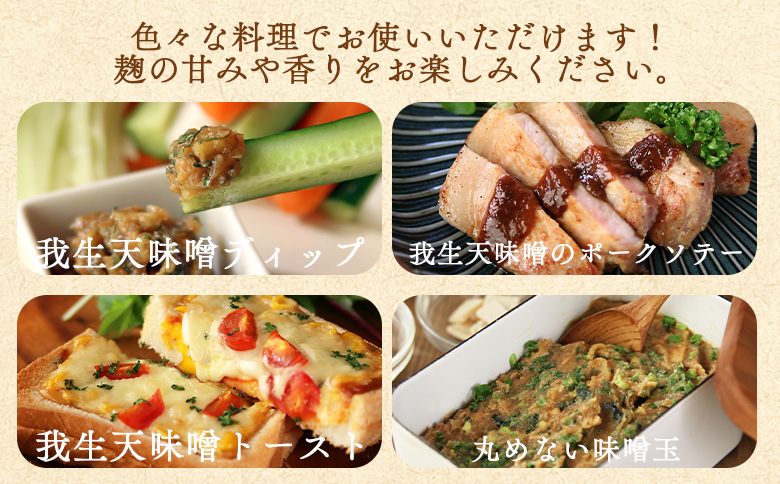 ＜我生天味噌 2個＞300g 選べる 内容量 個数 みそ ミソ 調味料 酵母 どぶろく味噌 ドブロク 米 料理 お味噌汁 パック 発酵食品 まろやか マイルド 風味 旨味 加工食品 和食 和 麹 こうじ アレンジ味噌 こだわり 麦みそ【MI576-gs】【我生庵】