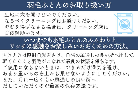 ＜羽毛肌ふとん ダブルサイズ 無地生成り ダウンケット ホワイトダックダウン85%フェザー15% 充填量 0.6kg＞日本製【MI555-bs】【株式会社ベストライフ】