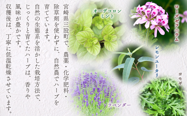 ＜香り袋（ラベンダー）＞国産 ドライ 乾燥した天然ハーブ 自然 芳香用 サシェ クローゼット 引き出し 玄関 お部屋 車内 車の中 バッグ 鞄 カバン 宮崎県 三股町【MI715-bi】【美香園】