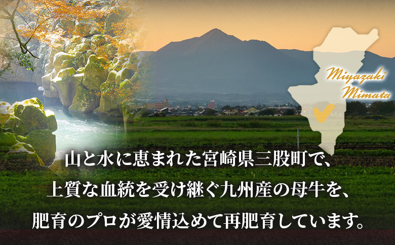 【数量限定】＜黒毛和牛 中村牛切り落とし 合計1.5kg(250g×6)＞ 国産 九州産 脂身 牛肉 赤身 すき焼き 牛丼 肉じゃが プルコギ 煮込み 使いやすい 小分け 便利 こま切れ 牛こま コマ 小間 薄切り お肉 冷凍【MI643-jc】【Jコーポレーション】