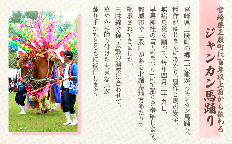 ＜地域の祭りを彩る ジャンカン馬 栗姫を応援！オリジナルキャラクタージャンカちゃんグッズ付（子供サイズTシャツ1枚）＞寄附 寄付 お礼の品 返礼品あり 地域貢献 伝統文化 文化継承 ふるさと 応援プロジェクト まつり継続支援 JANKAN NEXT100 保護 保全活動 動物愛護 動物 ボランティア 愛護活動【MI646-ar】【アラテイク】