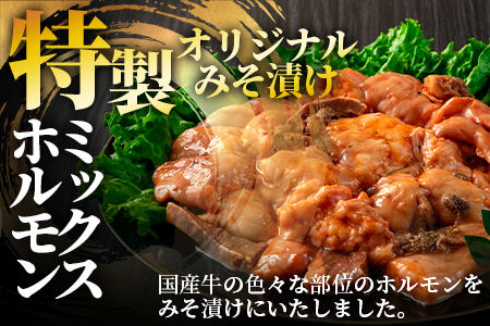 【数量限定】＜国産牛ミックスホルモン みそ漬 500g(約500g×1)＞国産 牛肉 肉 ホルモン モツ 大腸 冷凍 焼肉 BBQ もつ鍋 煮込み 小分け 焼くだけ 簡単 タレ漬け 簡易包装【MI705-hr】【肉の豊楽】