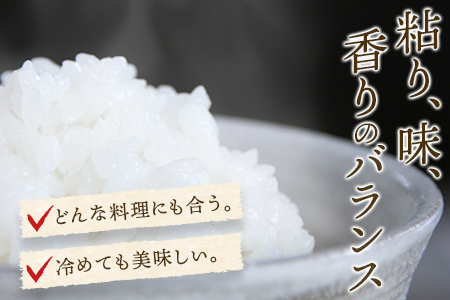 ＜三股米 ヒノヒカリ 令和6年産米 5kg×2袋＞ひのひかり 米 5キロ 10キロ 15キロ 送料無料 精米 お米 備蓄米 非常用 米 特産品 国産 白米 ライス ご飯 セット ひなたGAP取得 コメ【MI531-is-R6】【農事組合法人今新】