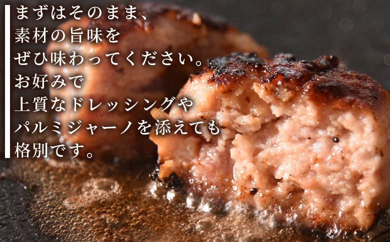 ＜国産パンチェッタ入りハンバーグセット＞6個 国産 豚肉 牛肉 鶏肉 塩漬け熟成 ハンバーグ 加工品 惣菜 洋風惣菜 洋食 おかず お弁当 ジューシー プレゼント 贈答品 贈り物 ギフト 個包装 小分け 湯煎 【mi742-pl】【株式会社プラス】