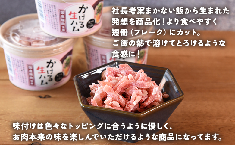 ＜かける国産生ハム 80g×4(計320g)＞国産 豚肉 お肉 生ハム 短冊 フレーク状生ハム トッピング 熱々ご飯 ご飯のお供 ごはん かけるだけ ズボラ飯 ユッケ サラダ パスタ ピザ パーティー おつまみ グルメ アレンジ おしゃれ【MI477-pl】【株式会社プラス】