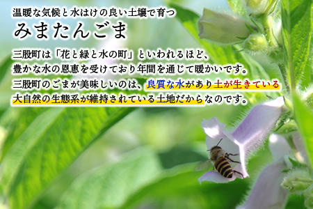  ＜白ごま（煎り・すり）2種セット＞ 三股町産 国産 ゴマ 胡麻 煎りごま すりごま 希少な国産ごま goma 調味料 セット 詰合せ 詰め合わせ 【MI747-sm】【しも農園】