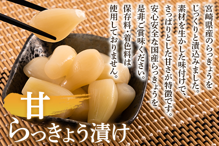 ＜純国産らっきょう3種としょうが2種詰め合わせ各2袋　計10袋＞ 食べ比べセット 国産野菜 宮崎県産 つけもの ご飯 朝ごはんのお供 おつまみ 和食 付け合わせ 豆腐の薬味 漬物グランプリ金賞 宮崎フードアワード優秀賞受賞【MI723-ko】【株式会社 上沖産業】