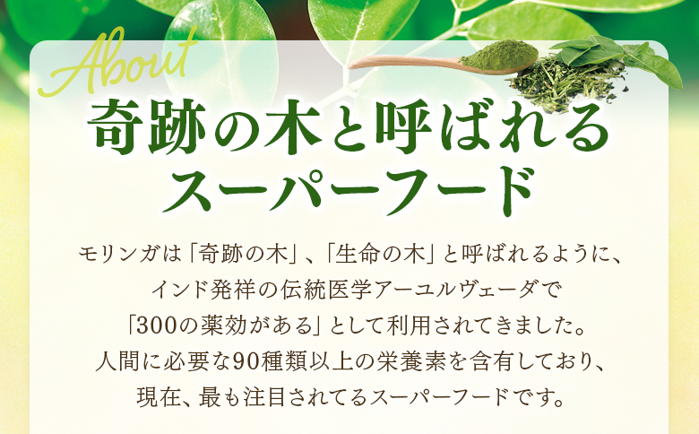 シ懊イ縺ェ縺溘ョ諱オ縺ソ繝「繝ェ繝ウ繧ャ繧ソ繝悶Ξ繝繝 1邂アシ1邂ア/8骭テ30蛹シ会シ樊戟縺。驕九ウ縺ォ萓ソ蛻ゥ縺ェ蛟句桁陬 30譌・蛻 螳ョ蟠守恁荳芽ぃ逕コ逕」 鄒主ョケ鄙呈」 蛛・蠎キ鬟溷刀 豌苓サス 閨キ蝣エ 譌陦 蟶ク蛯 縺、縺ェ縺惹ク堺スソ逕ィ 繧ケ繝シ繝代シ繝輔シ繝 蝗ス逕」 JAS隱榊ョ壼キ・蝣エ陬ス騾 縲信I729-ys縲代仙翠蜴溷サコ險ュ譬ェ蠑丈シ夂、セ縲
