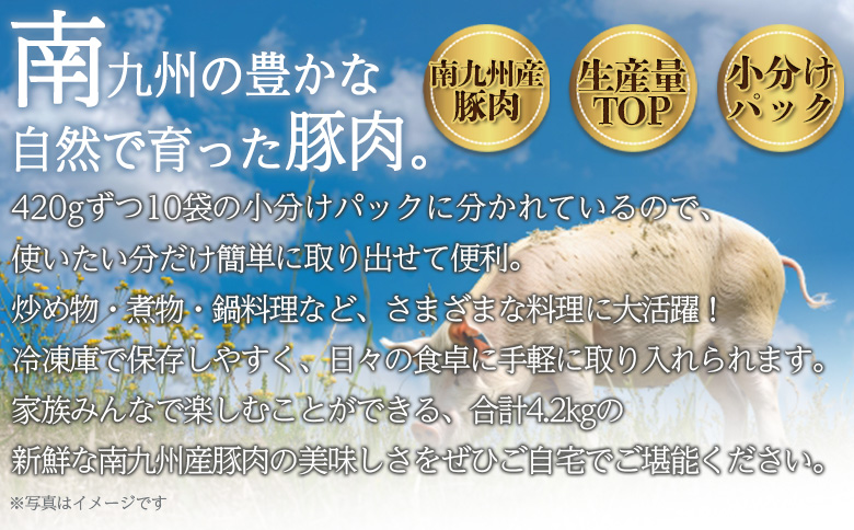 【数量限定】＜豚肉切り落とし 合計4.2kg(420g×10)＞ 国産 九州産 南九州産 精肉  脂身 赤身 部位 料理 普段使い 小分け 便利 小間切れ 豚こま 薄切り 袋 炒める しゃぶしゃぶ お肉 お弁当 おかず 夕食 一品 生姜焼き 豚汁 冷凍 保存【MI476-nk-x1】【中村食肉】