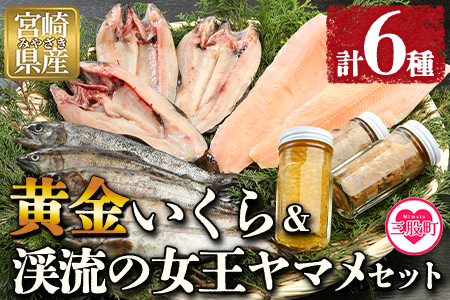 ＜黄金イクラと渓流の女王ヤマメ逸品セット＞(6種)黄金イクラやヤマメなどを詰め合せ！【B-0204-sk】【有限会社しゃくなげの森】