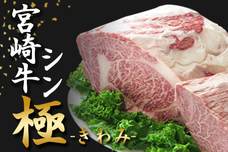 ＜宮崎牛『シン極(きわみ)』ロース肉約7.5kg、ヒレ肉約4.5kg (冷凍・4回分割)＞ 国産ブランド牛 黒毛和牛【MI019-nk-i-04】【中村食肉】