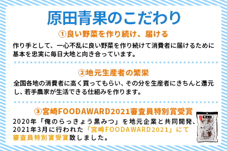 ＜宝石らっきょう 4味詰め合わせギフトセット 280g(70g×4味×袋)＞【MI120-hd】【原田青果】