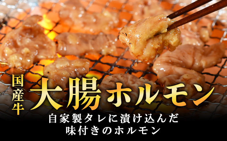 ＜【訳あり】国産牛ホルモン大腸（特製タレ漬け）約1.6kg＞(計1.6kg・400g×4P)大腸を秘伝の特製タレに漬け込みました！【MI024-nk-x1】【中村食肉】