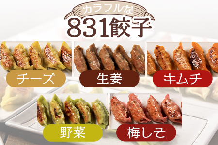 ＜国産野菜と県産豚肉をつかった冷凍生餃子 パーティー食べ比べセット 6種×5個×2箱 (タレ：ポン酢しょうゆ)＞（合計60個・各5個×2箱）プレーン・チーズ、生姜、野菜、梅、キムチをセットに♪【MI097-hc-01】【ハチサンイチ】