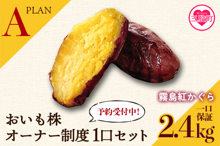 【先行予約】＜【A】おいも株オーナー制度1口セット2株 霧島紅かぐら(最低2.4kg保証)＞2026年12月中旬頃に熟成されたさつまいもをお届け! きりしまべにかぐら サツマイモ 芋 権利書 チケット 体験 苗植会 収穫祭【MI106-sh-s】【株式会社育みの里しろはと】