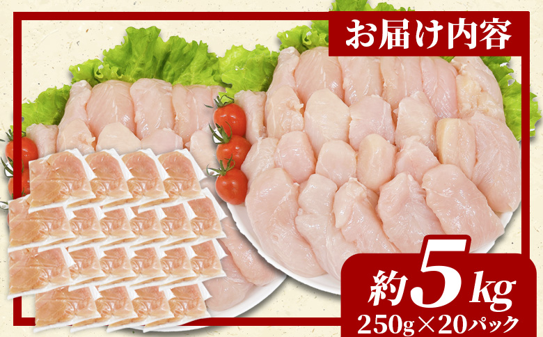 ＜宮崎県産若鶏筋なしささみ 約5kg＞ 国産 鶏 肉 精肉 ささみ ささみ肉 筋なし 使いやすい パック 真空冷凍 お弁当 惣菜 蒸し鶏 数量限定 鶏ささみ 鶏ササミ ササミ 鳥ささみ 鳥ササミ【MI513-tr】【TRINITY】