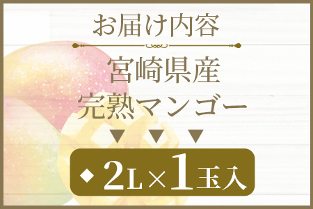 ＜先行予約 【期間数量限定】2025年5月発送 宮崎県産完熟マンゴー 2L 1玉入＞【MI516-yk】【みまたんよかもん協同組合】