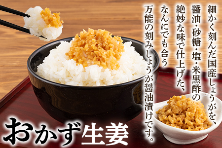 ＜純国産らっきょう3種としょうが2種詰め合わせ各2袋　計10袋＞ 食べ比べセット 国産野菜 宮崎県産 つけもの ご飯 朝ごはんのお供 おつまみ 和食 付け合わせ 豆腐の薬味 漬物グランプリ金賞 宮崎フードアワード優秀賞受賞【MI723-ko】【株式会社 上沖産業】