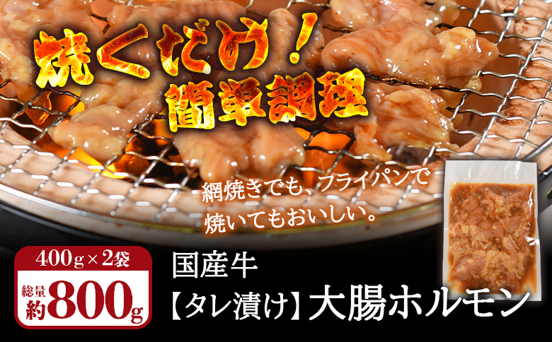 ＜【訳あり】国産牛ホルモン大腸（特製タレ漬け）計800g(400g×2袋)＞大腸を秘伝の特製タレに漬け込みました！【MI427-nk】【中村食肉】